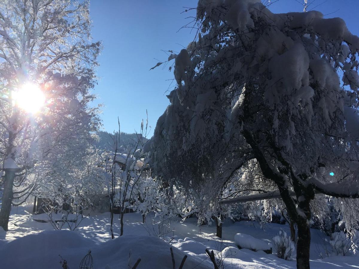 Haus Sonnenruh Daire Bad Hindelang Dış mekan fotoğraf