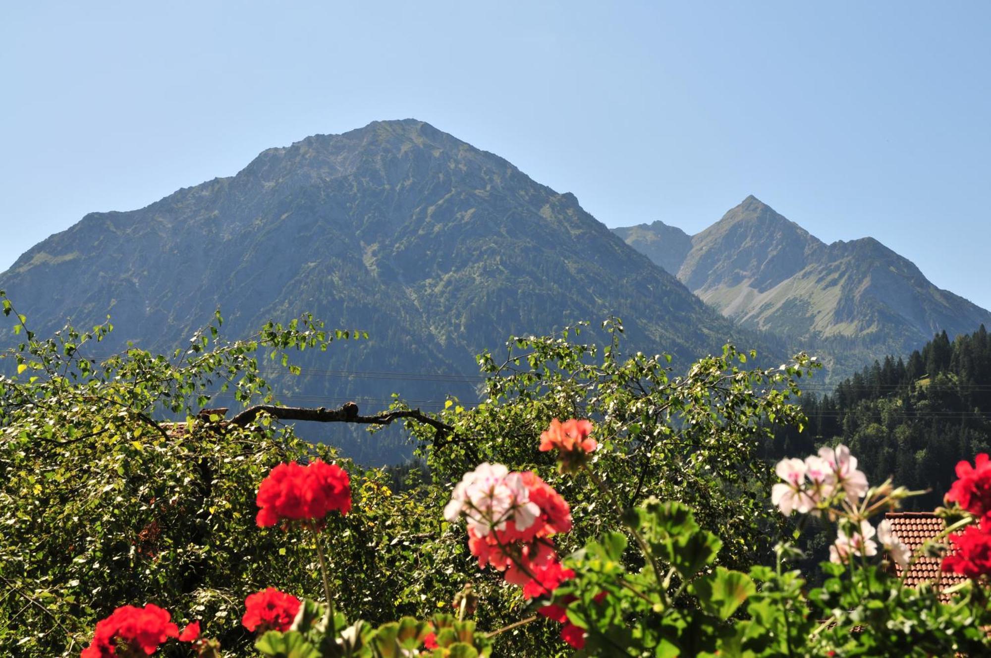 Haus Sonnenruh Daire Bad Hindelang Dış mekan fotoğraf