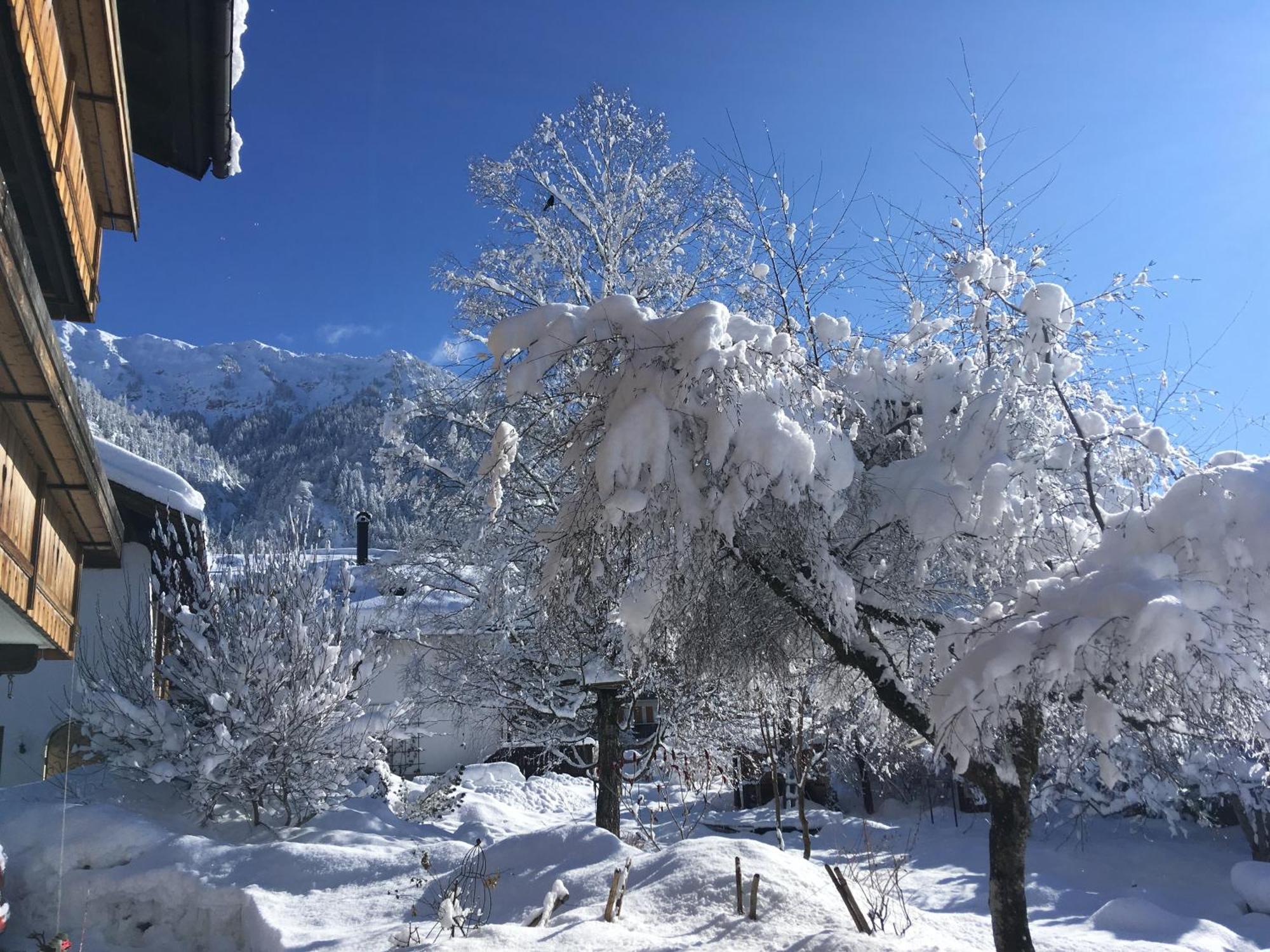 Haus Sonnenruh Daire Bad Hindelang Dış mekan fotoğraf