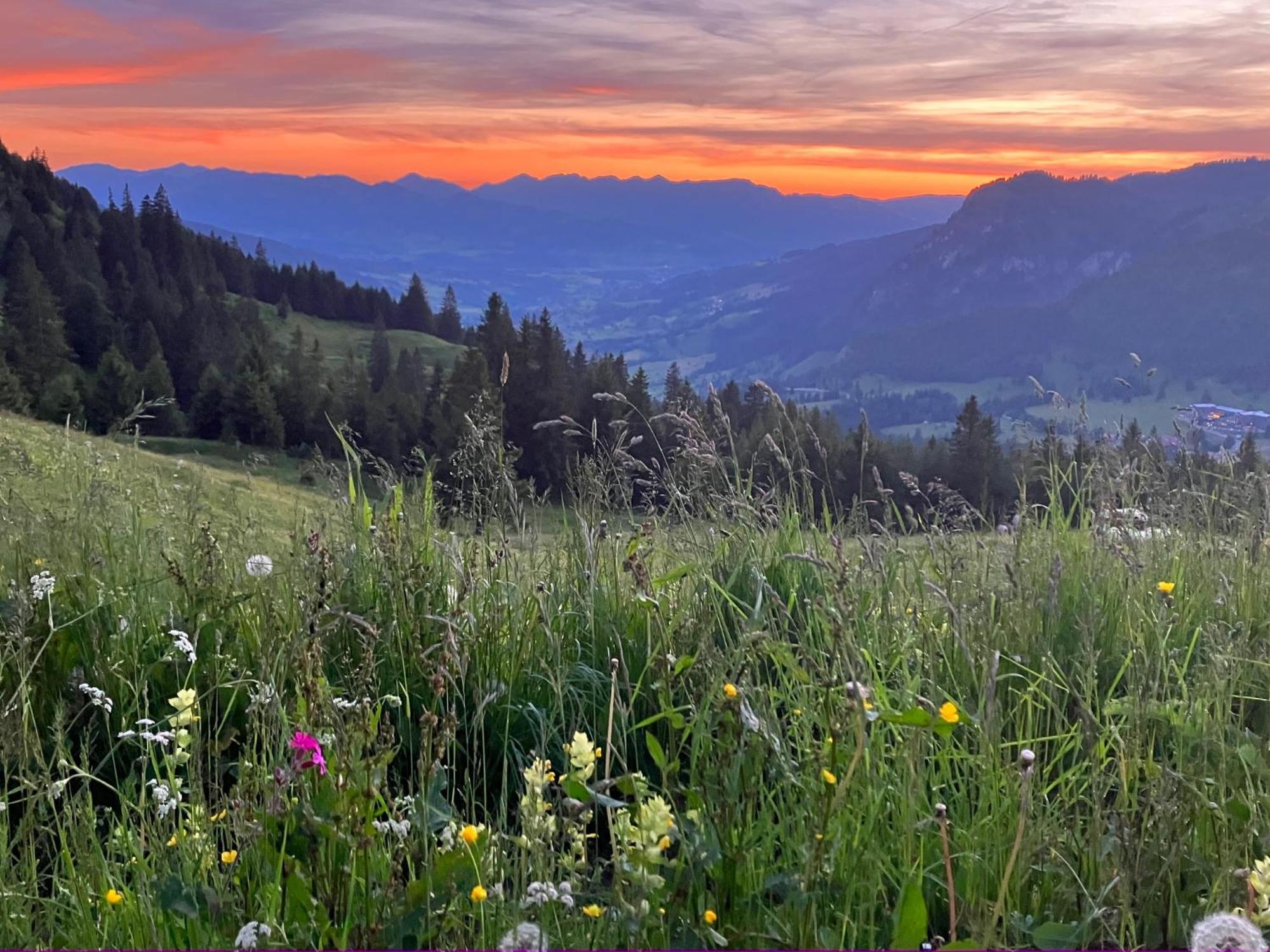 Haus Sonnenruh Daire Bad Hindelang Dış mekan fotoğraf