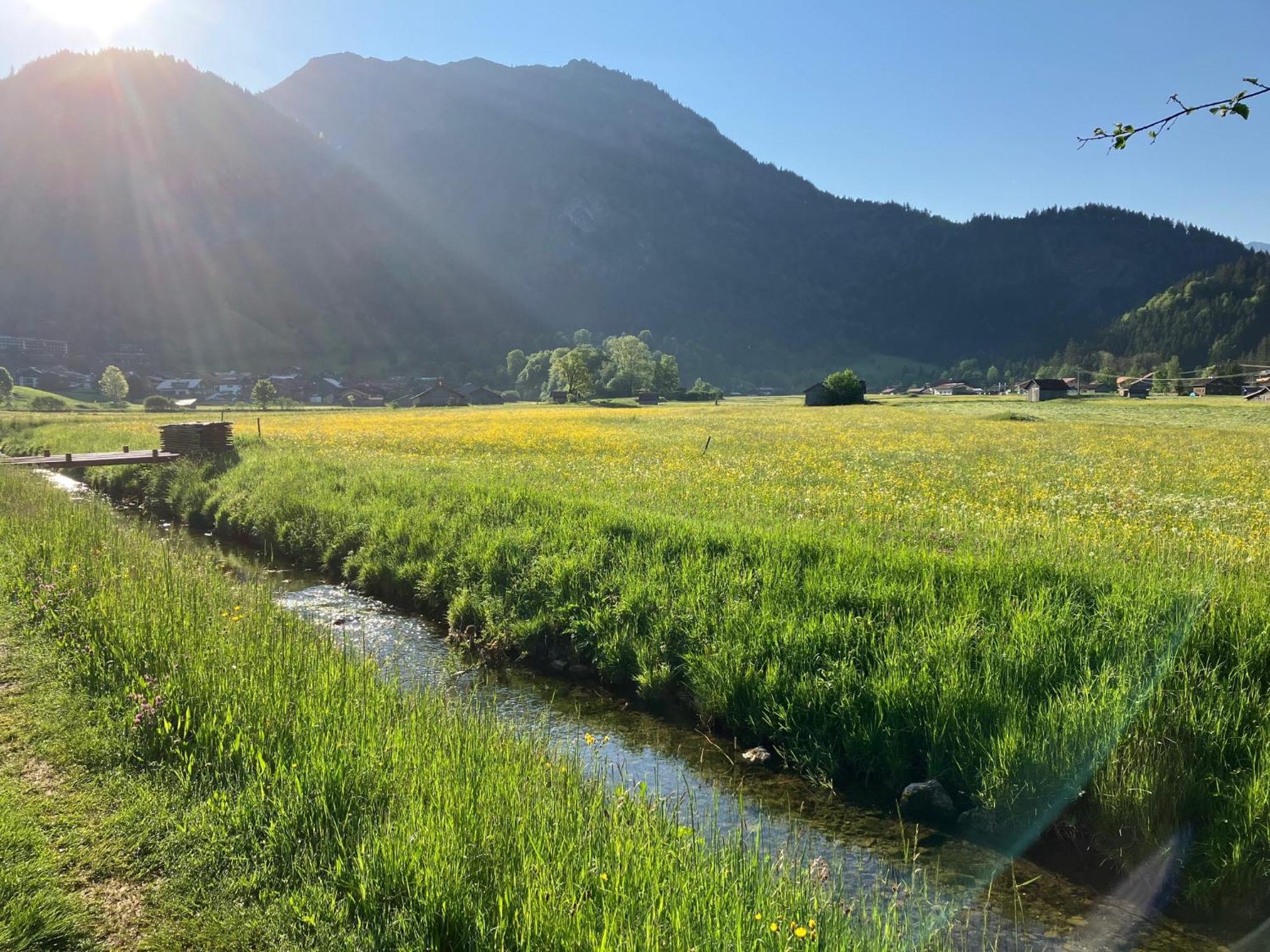 Haus Sonnenruh Daire Bad Hindelang Dış mekan fotoğraf