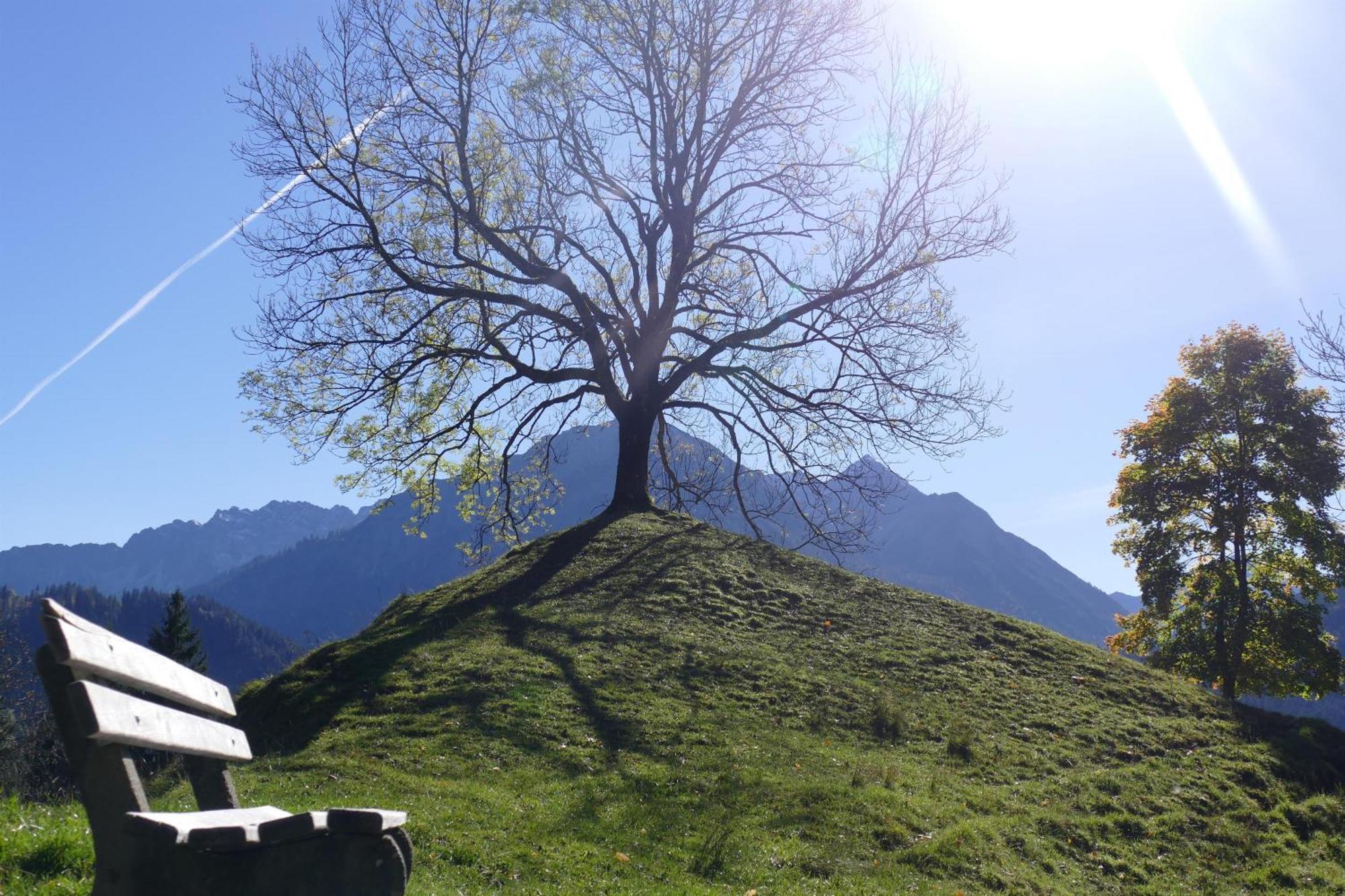 Haus Sonnenruh Daire Bad Hindelang Dış mekan fotoğraf